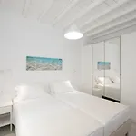 Nireas Mykonos Downtown